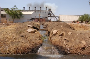 Untreated effluent discharging from sugar cane factory into the Nile.
